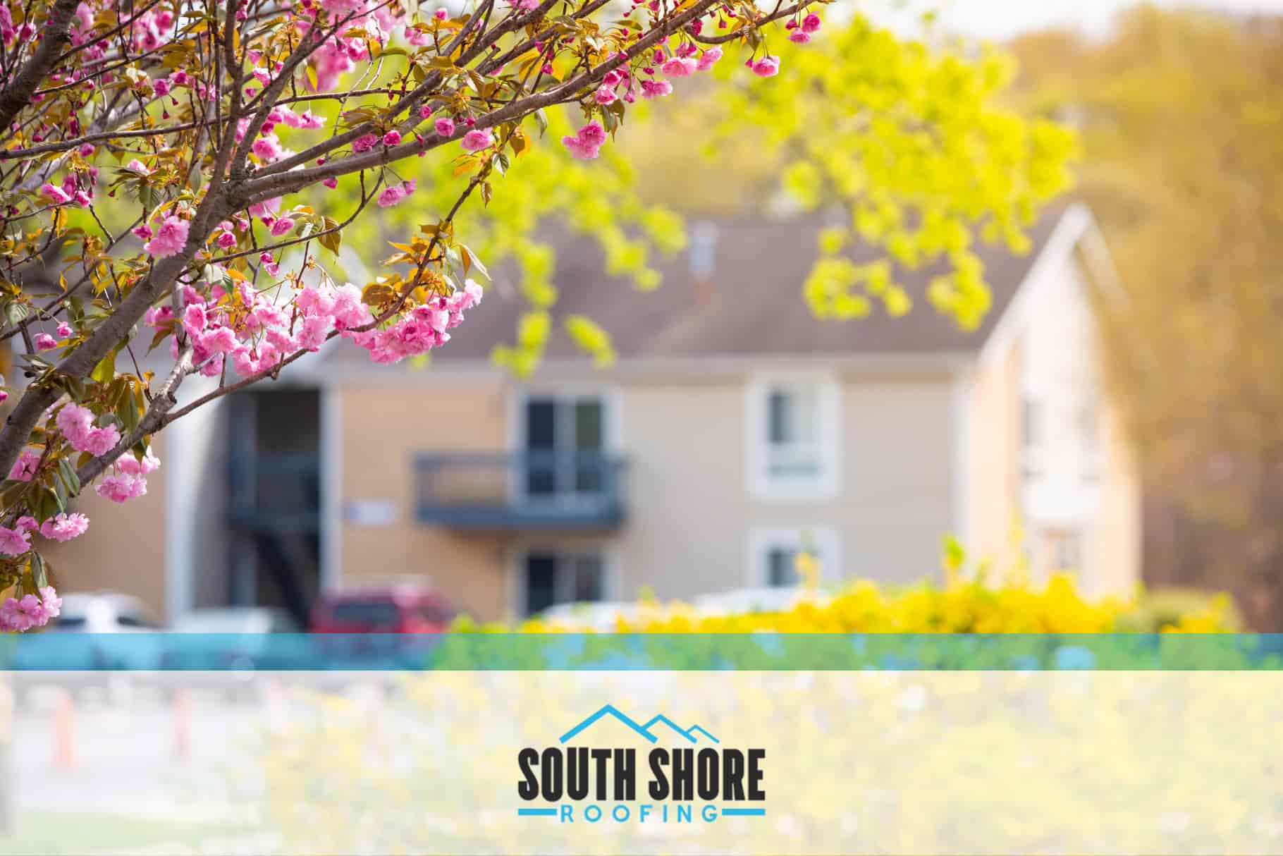 Frequency of Roof Maintenance in Savannah